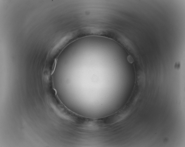 X0000112210072200908141508