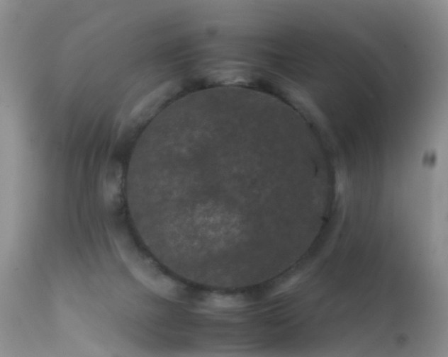 X0000112210073200908141508