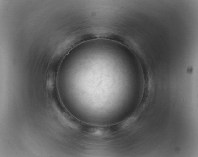 X0000112210074200908141508