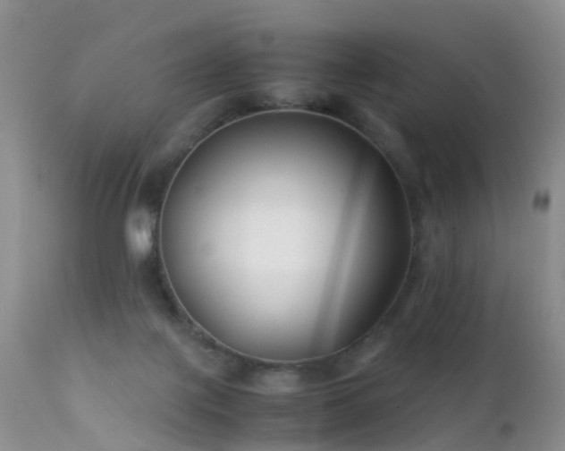 X0000112210075200908141508