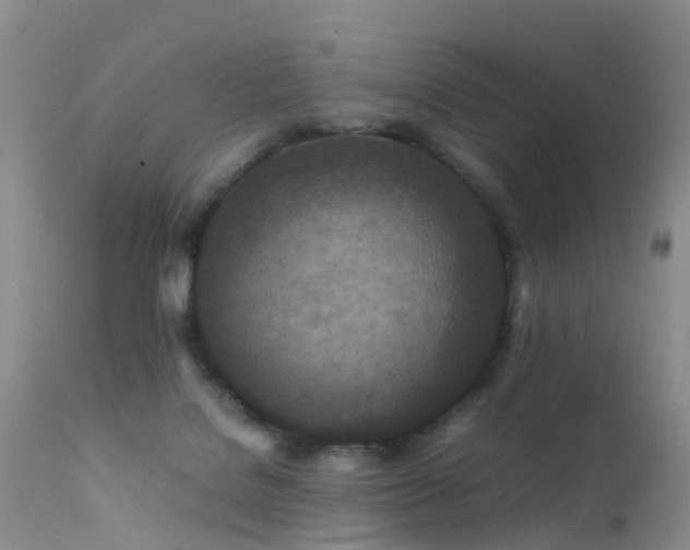 X0000112210076200908141508