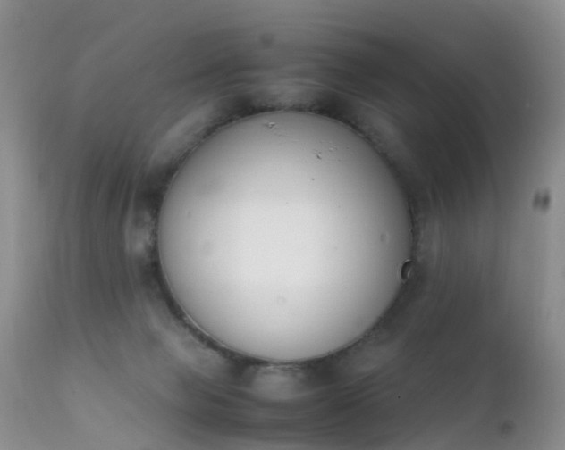 X0000112210077200908141508