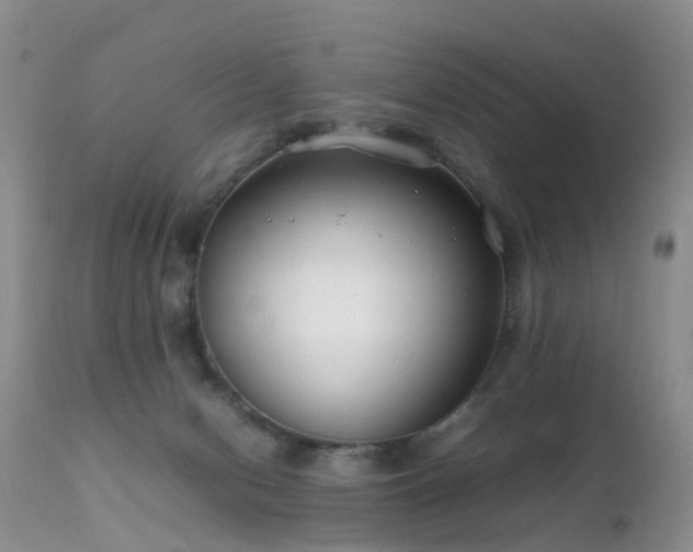 X0000112210078200908141508