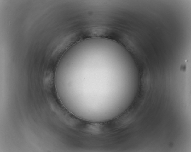 X0000112210079200908141508