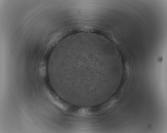 X0000112210080200908141508