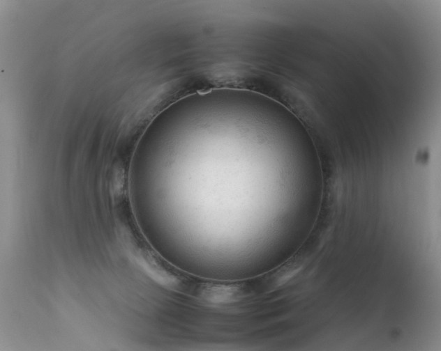 X0000112210081200908141508