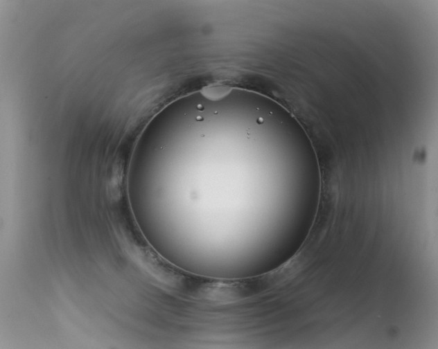 X0000112210082200908141508