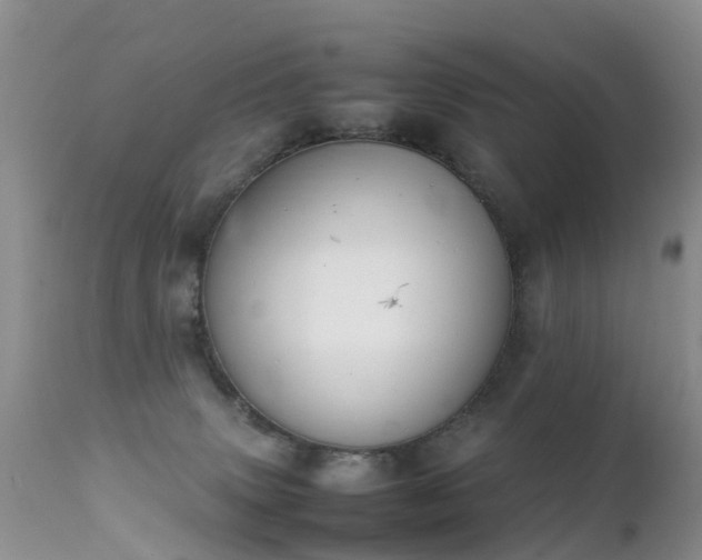 X0000112210083200908141508