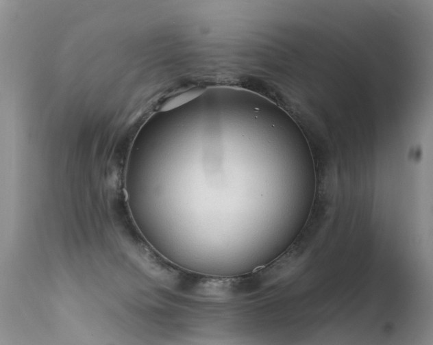 X0000112210084200908141508