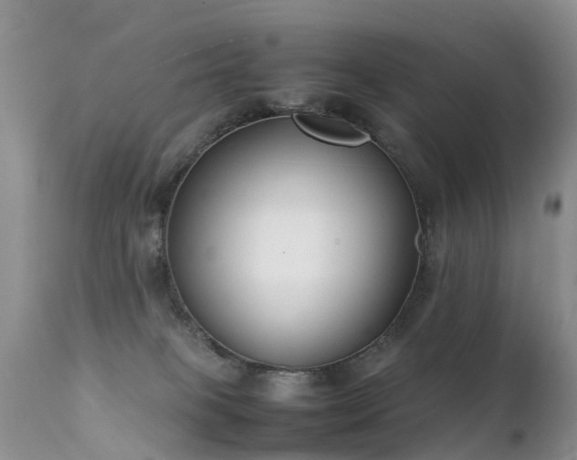 X0000112210085200908141508