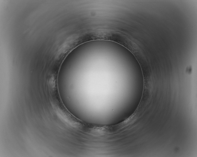 X0000112210086200908141508