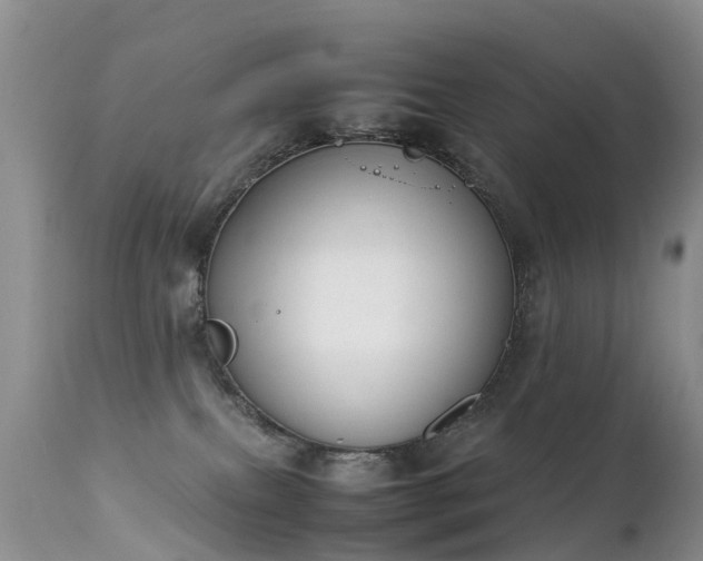 X0000112210087200908141508