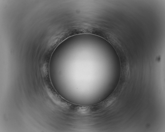 X0000112210088200908141508