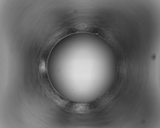 X0000112210089200908141508