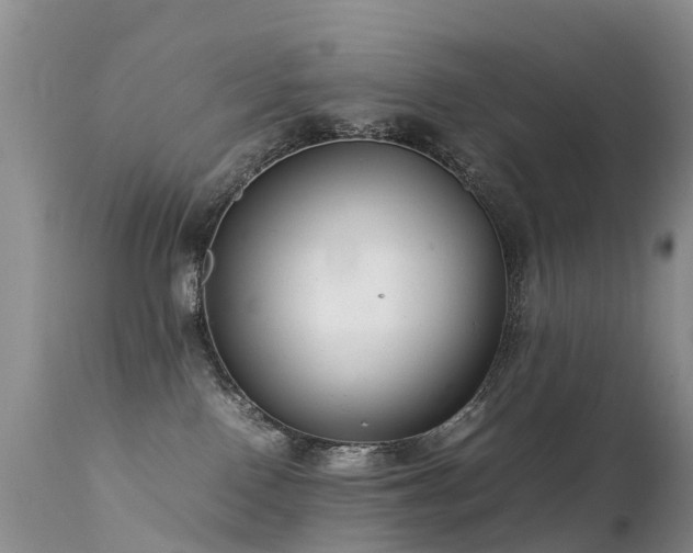 X0000112210090200908141508