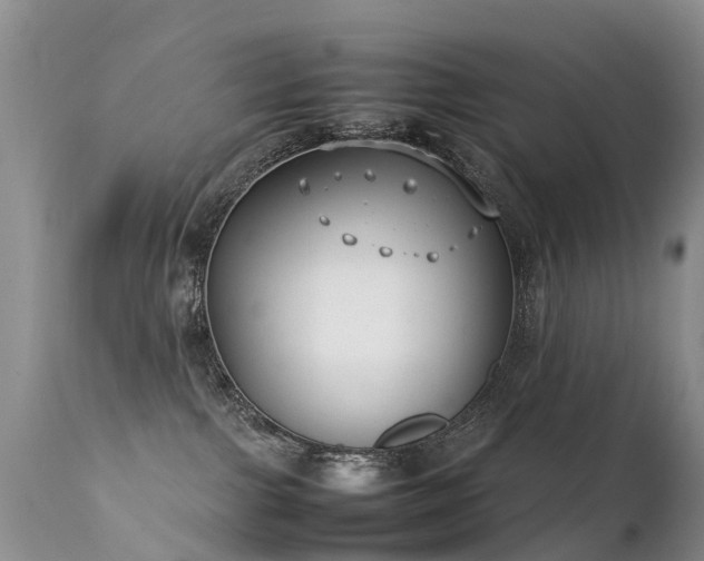 X0000112210091200908141508