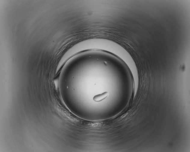 X0000112210092200908141508