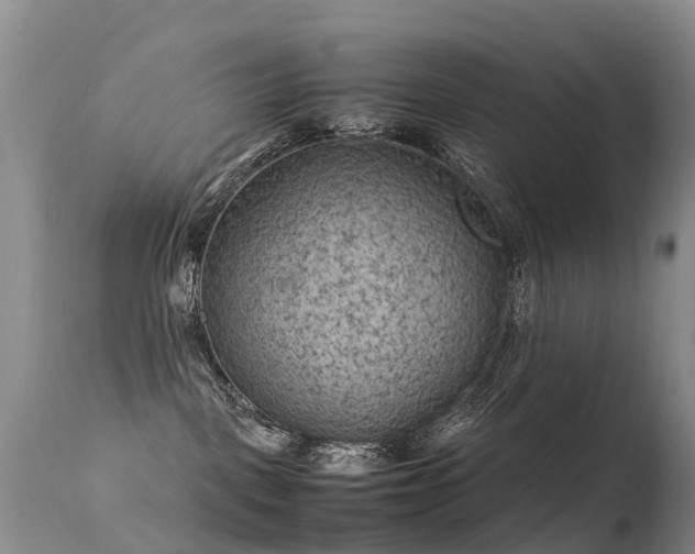 X0000112210093200908141508