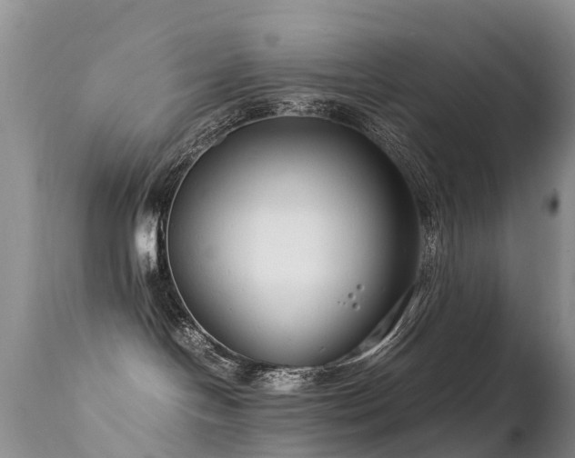 X0000112210094200908141508