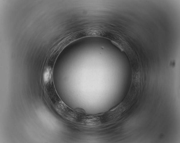 X0000112210095200908141508