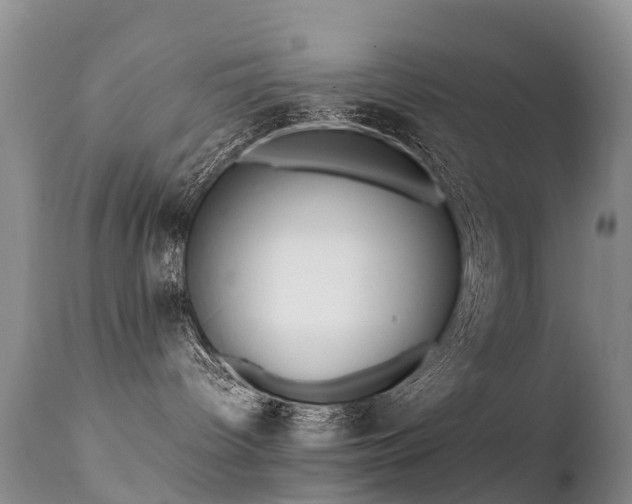 X0000112210096200908141508