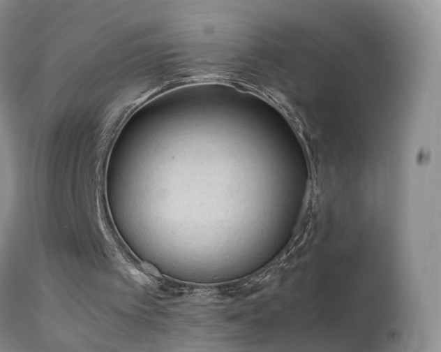 X0000112210097200908141508