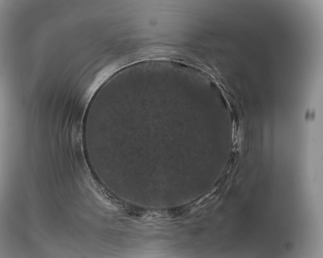 X0000112210099200908141508