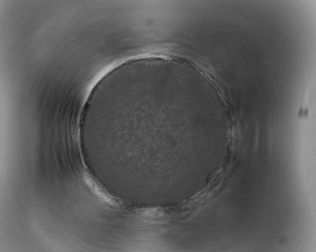 X0000112210100200908141508