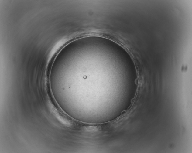 X0000112210102200908141508