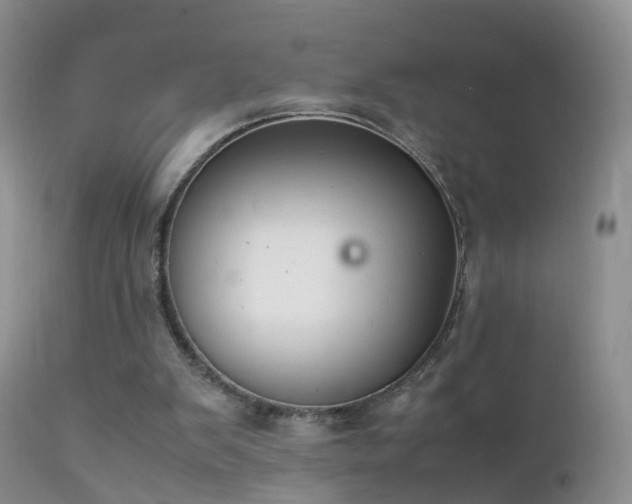 X0000112210103200908141507