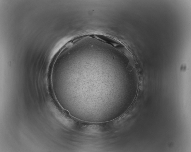 X0000112210104200908141507