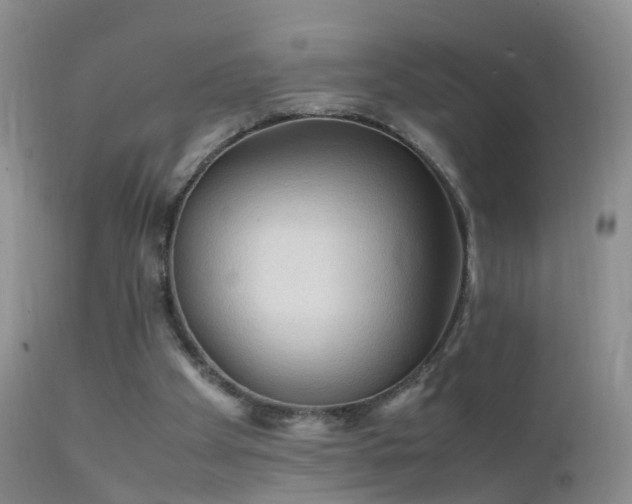 X0000112210105200908141507