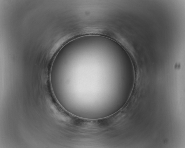 X0000112210107200908141507