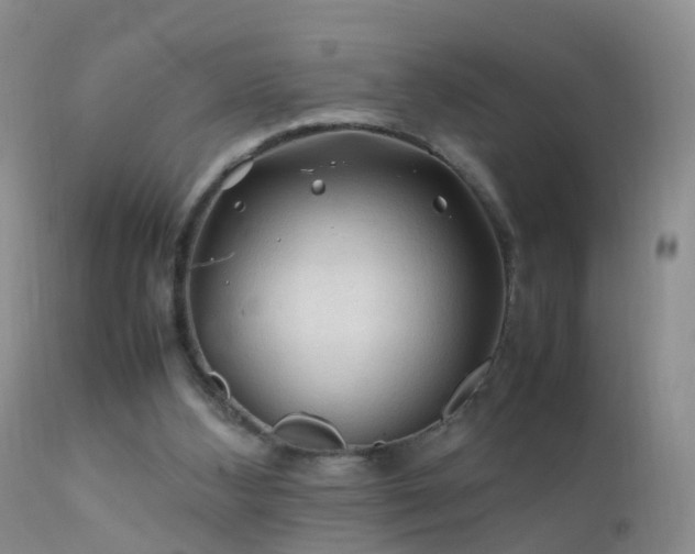 X0000112210108200908141507