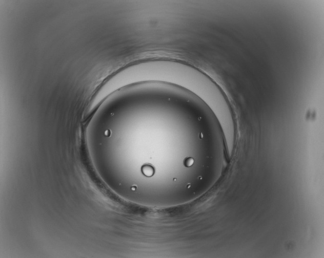 X0000112210109200908141507