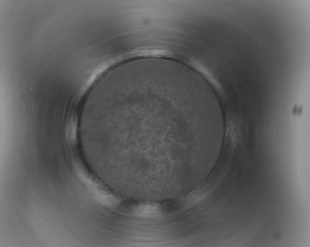 X0000112210110200908141507