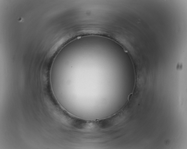 X0000112210111200908141507