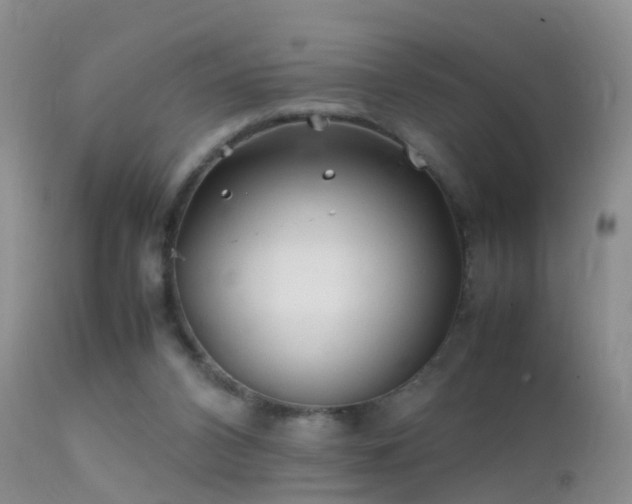 X0000112210112200908141507