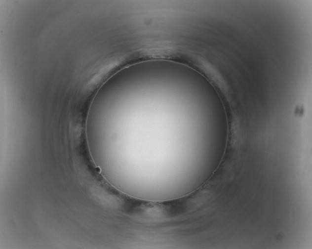 X0000112210113200908141507