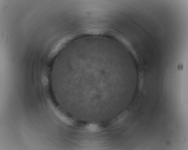 X0000112210114200908141507