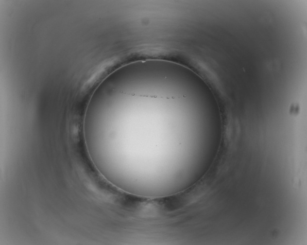 X0000112210115200908141507