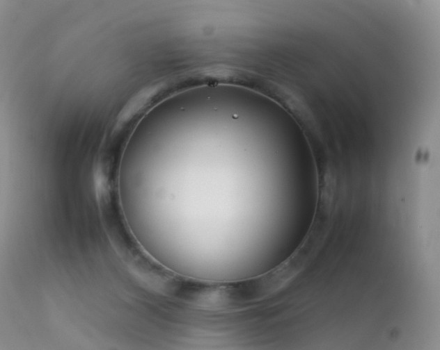 X0000112210116200908141507