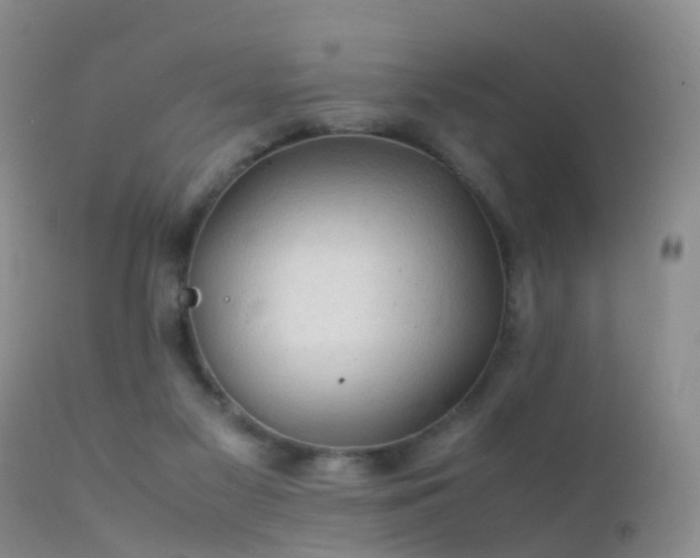 X0000112210117200908141507