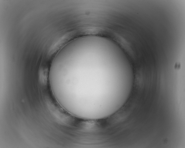 X0000112210118200908141507