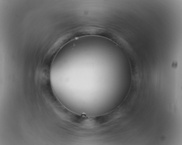 X0000112210119200908141507