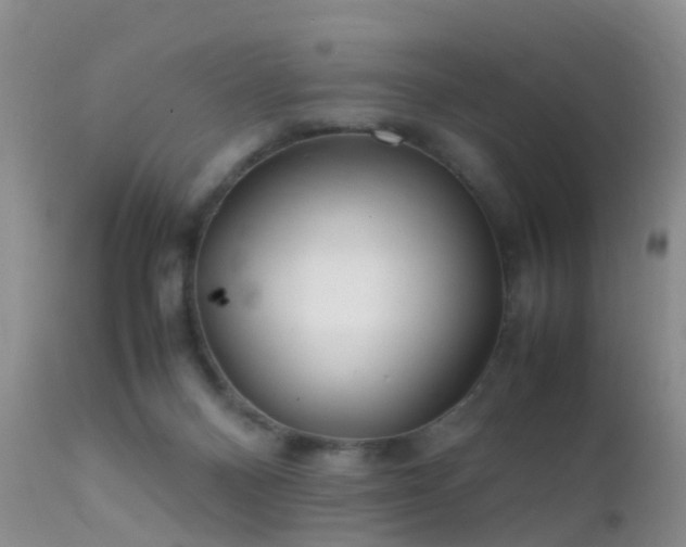 X0000112210120200908141507