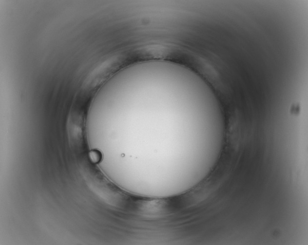 X0000112210122200908141507