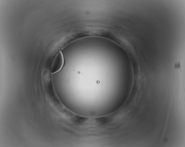 X0000112210123200908141507