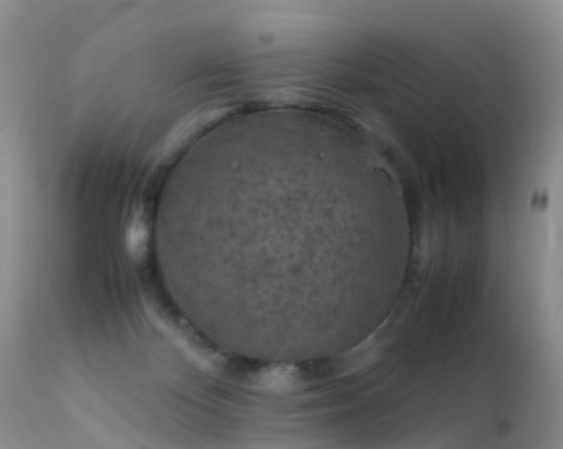 X0000112210124200908141507