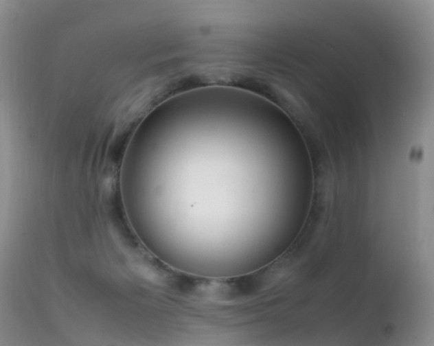 X0000112210125200908141507